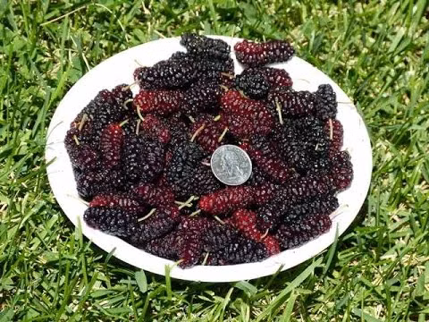 e416a1dc68c631d9ba97ac844d1e36be