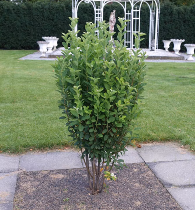 e44ceaee6d351ff850793f607283a2a2