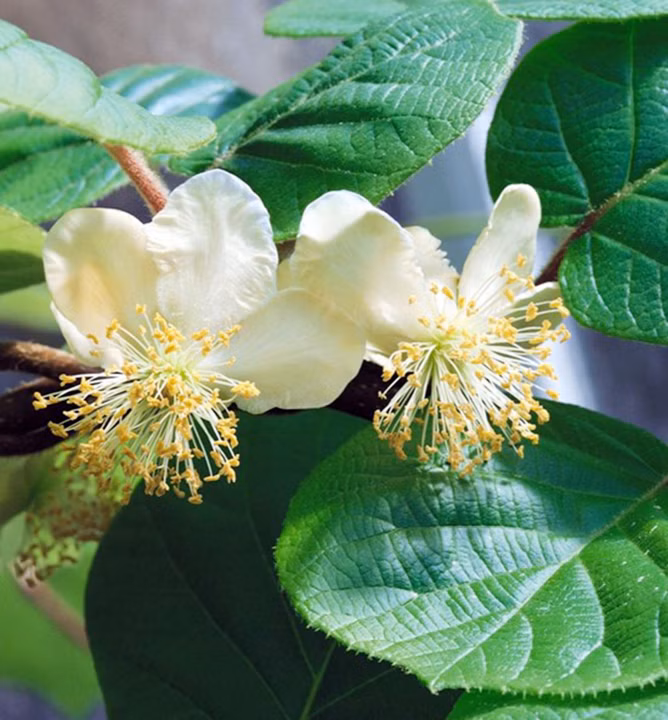 e44dc442e0e54a881db2bd7e0222e8d2