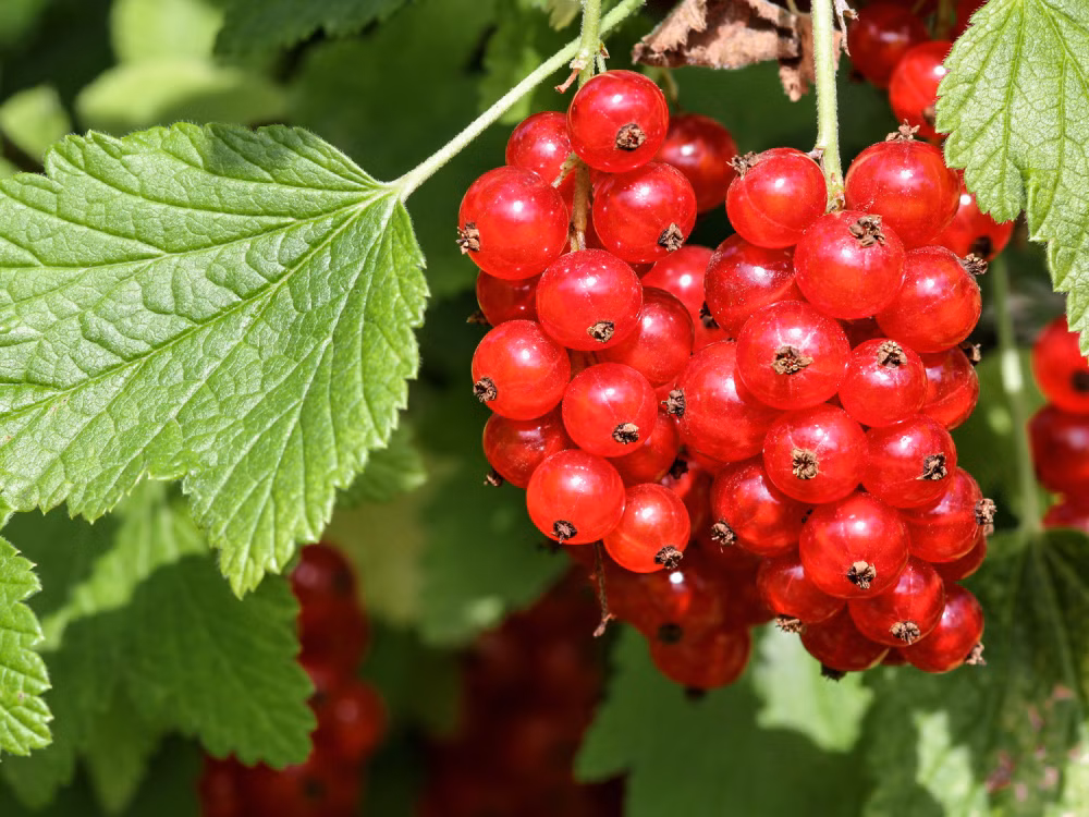 e47ff5e4fac920b83c6eb671daa47d55