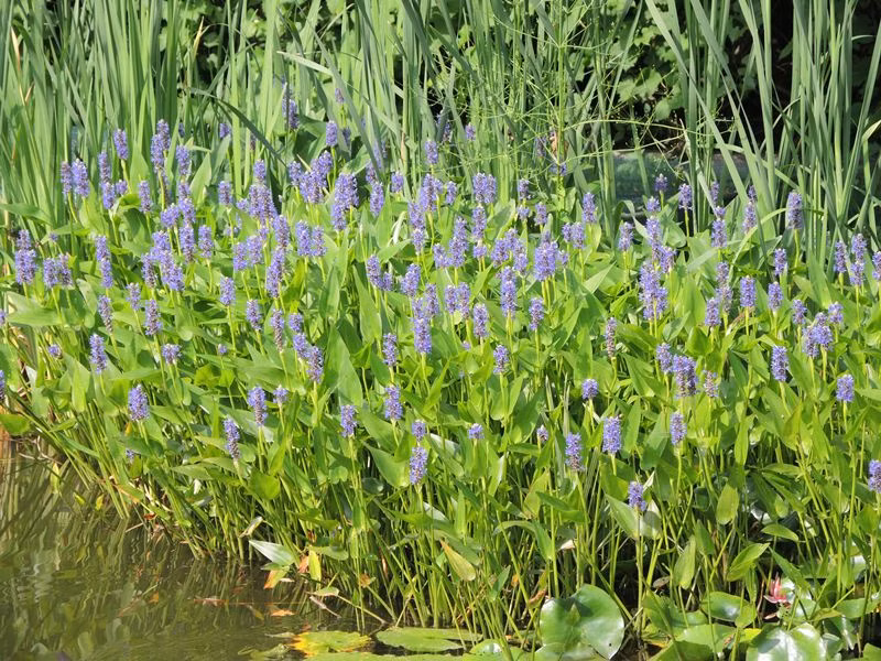 e4c458560c7605f6046c8658e778cc6c