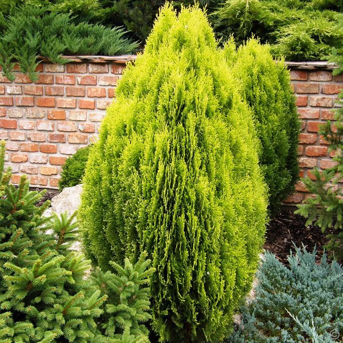 e4cccbee40cd12ae88454a9467c027f8