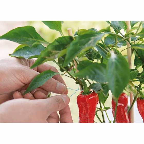 e4dff712d287a16b2f6937c90b1ebbfb