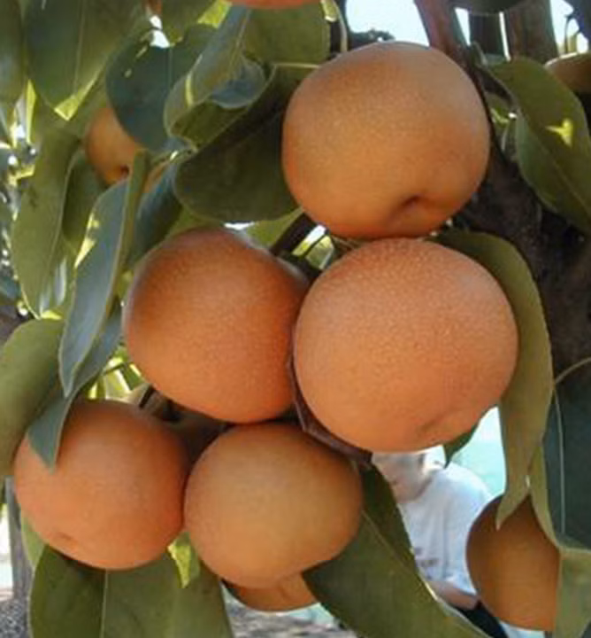 e4f6583f0c041fd955764306a99135f0