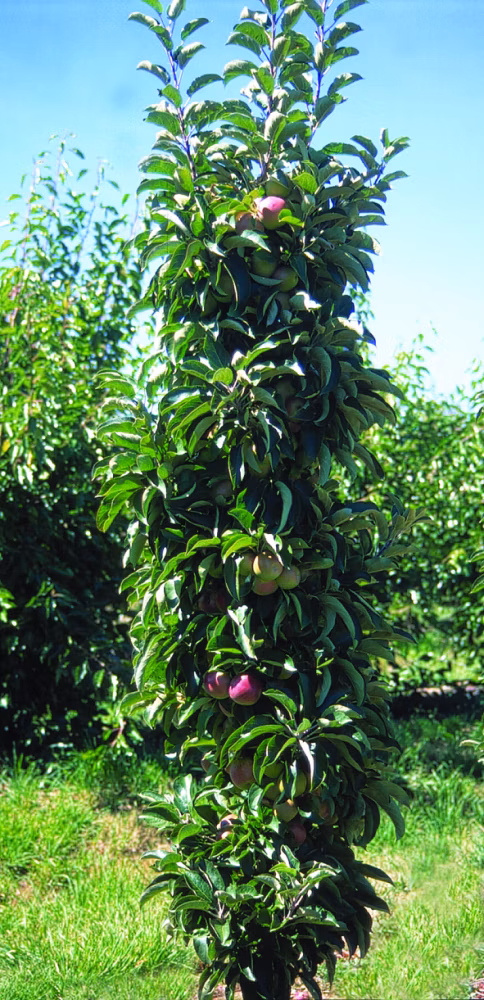 e50237e3f6f08532ab34ba73a11d3408