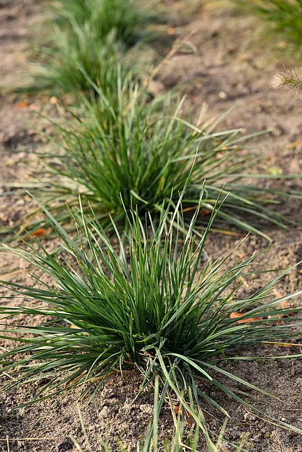 e51117d3776b7a0a7580e751b01eab7d