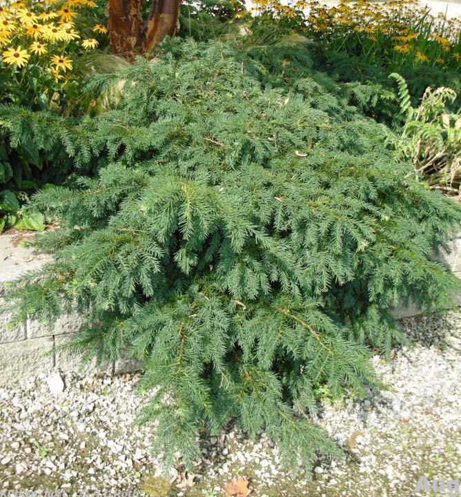 e5a72fbc9f2139a0418cac34dabd2dd8