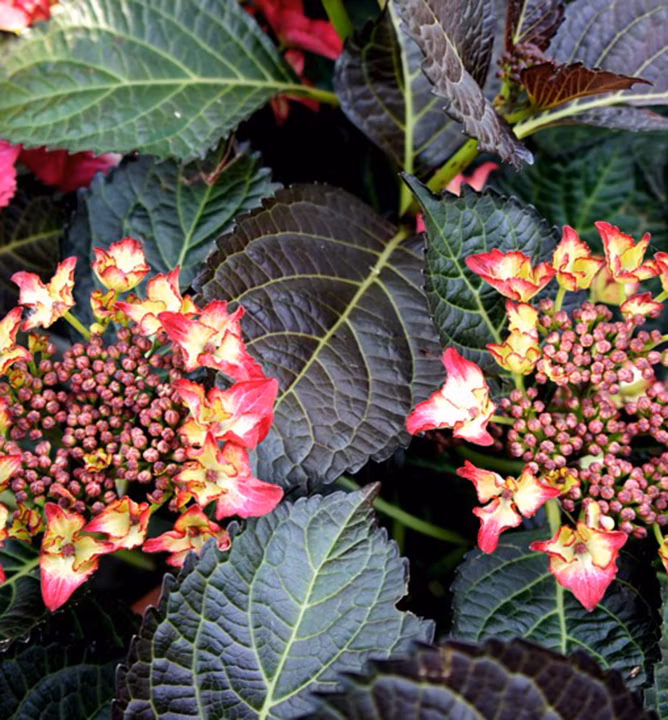 e5c72ab351a8d2efb5c19c09fddf25bb