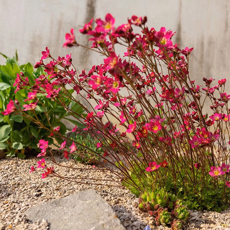 e5f89a721adc3dd47e2bfdf7bf34add6