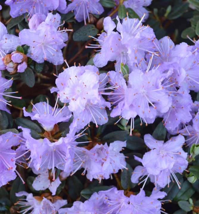 e61730f71ffaa32fdcc9015dfaa97027