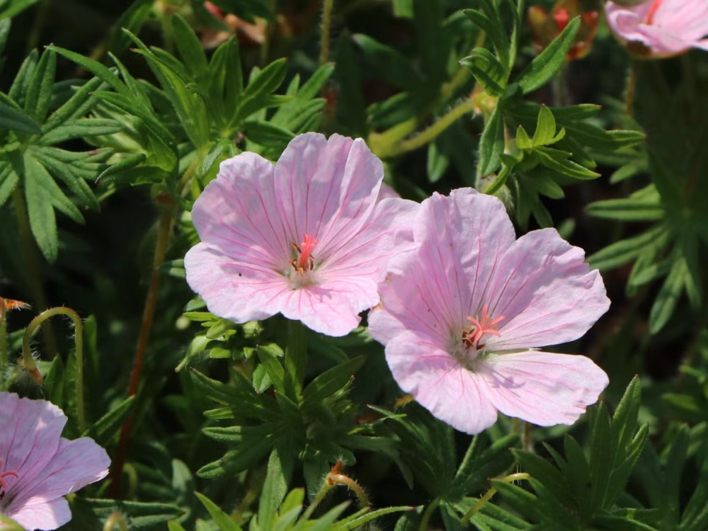 e61bb628e6400c8b8f851a4c11e90696