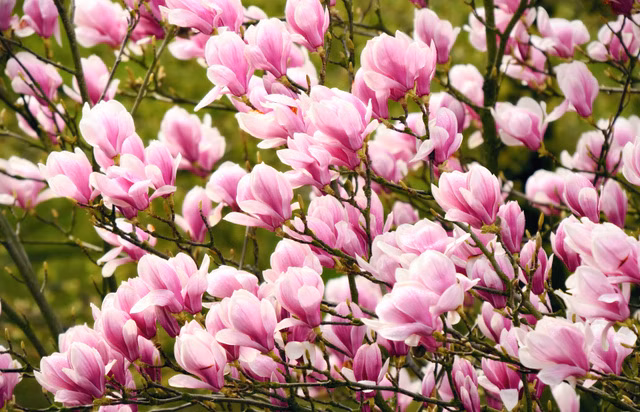 e6208214abd44e128415b0feeed62896