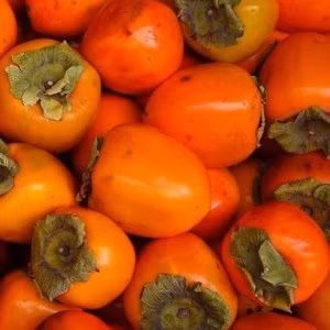 e6284d7ca7976ef66234820fffb7ab8e