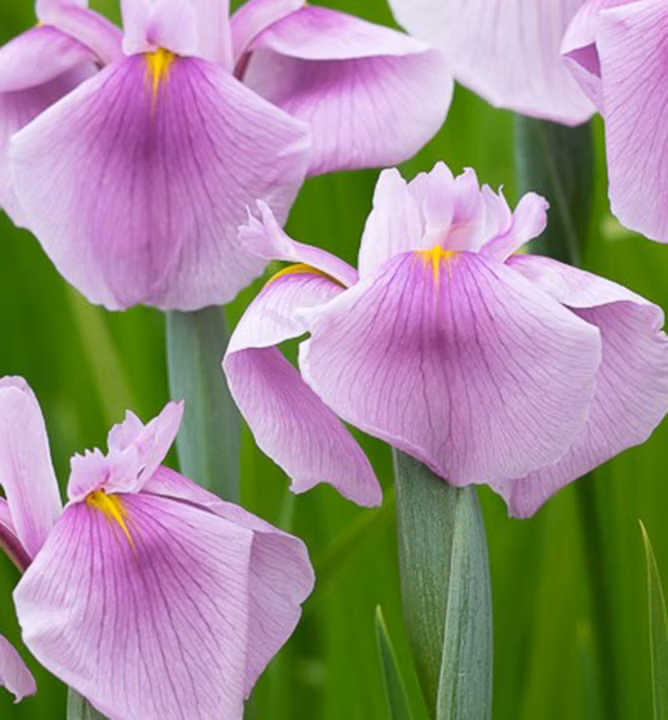 e64e02e20f8627016a899e06012620f9