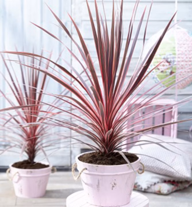 e6880c62118bcef98a3b4ebf864a225c