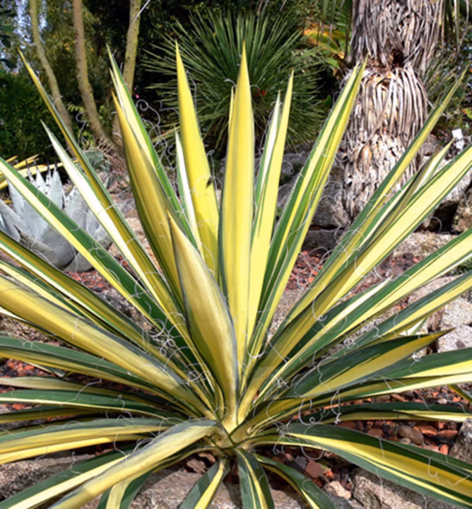 e69b3c3b82e81d3b62f93757f58e3c99