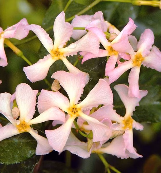 e6a0df5ebcebeddd709edb3bb9611b8b