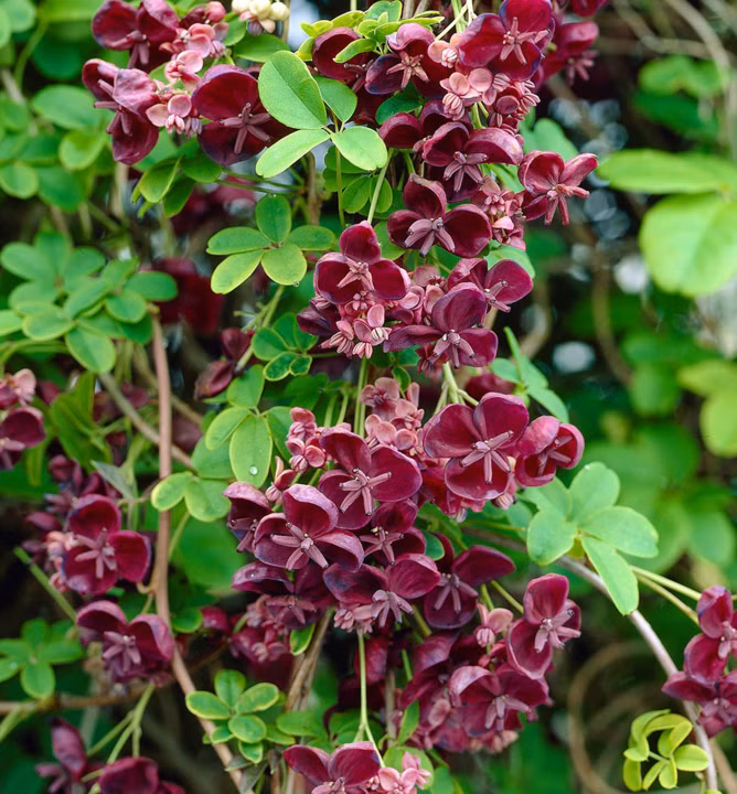 e6b38fd9487ba1dd3c2101a69ede45c8