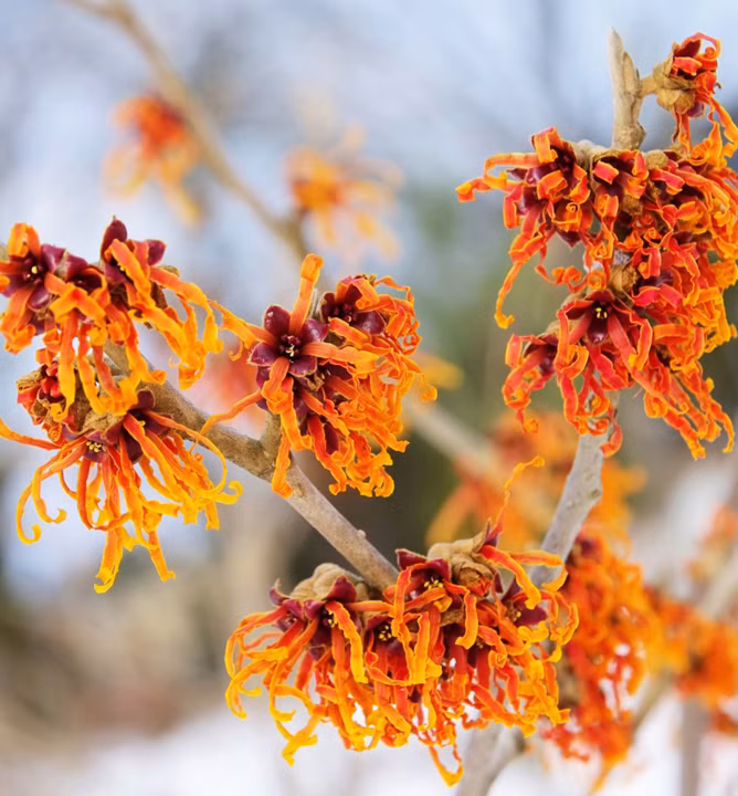 e6d7caa2e104e3015da2e2c379f1b6e8