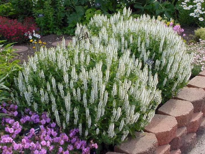 e70c2eb7839a003169a11e8beb32107a