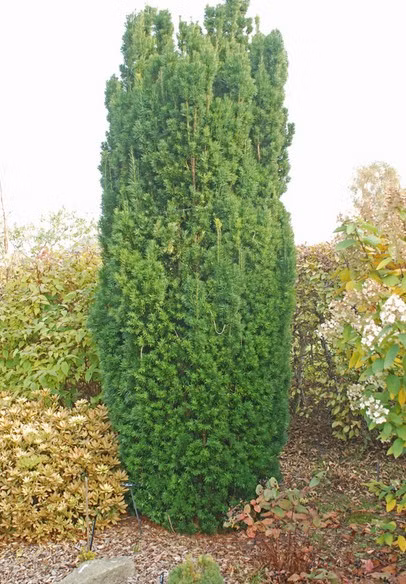 e721aca2fe3d7050f5bcdcb95503c60c