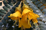 e7690fdaa0905d62173ac019c232e622