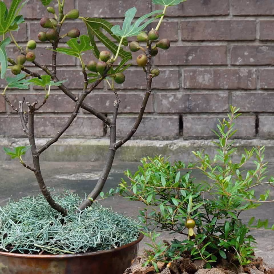 e784975c529a9b919123be4abdfbf561