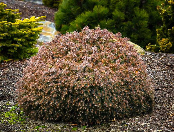 e80da6545d07ad507abd2ca2b2f43eb2