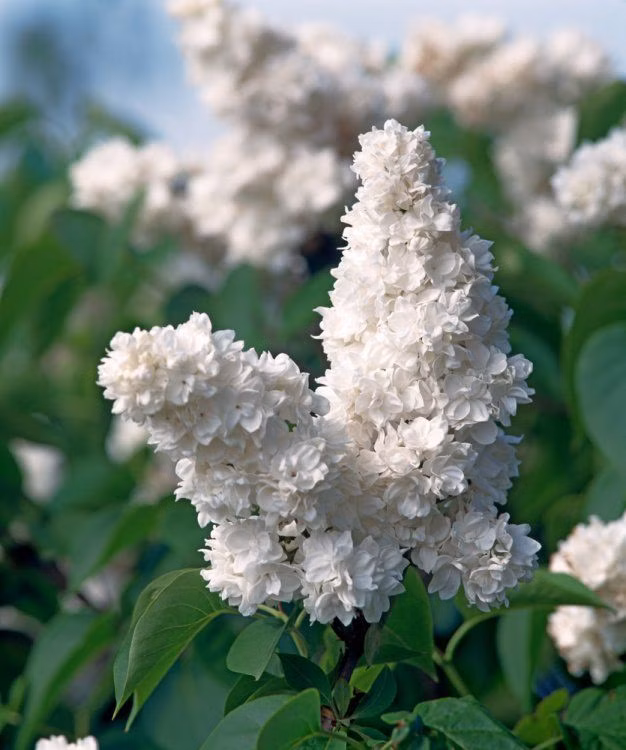 e823d67cbb958d38b9df52f706a7e129