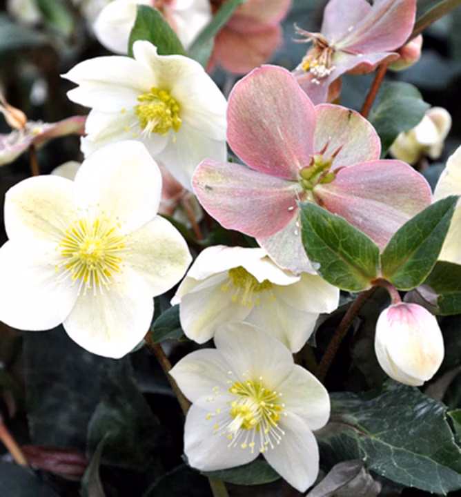 e830ab9b07570ce20d903df7410b63bc