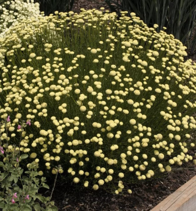 e8365ad4b4aef7abed1b75c804943839