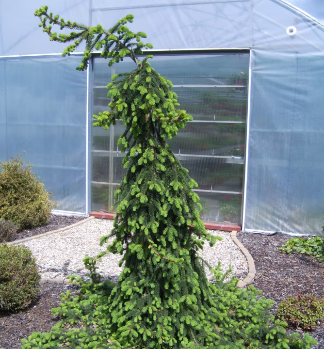 e8404d39b7bef22064feef9e3ee91308