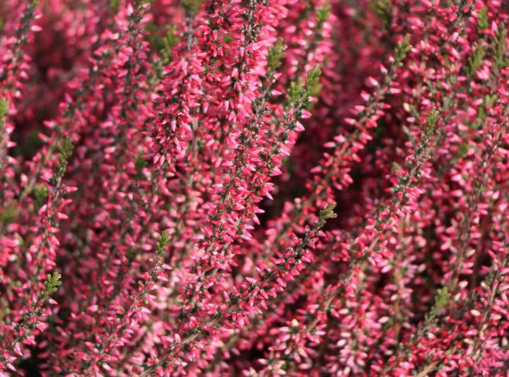 e855d0265261d4f3f9a7b291a7599ce9