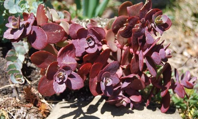 e85c392ae8346f65d7c4bc1838923ed8