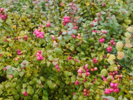e888aef10656f80ebefd6771c10b5f64