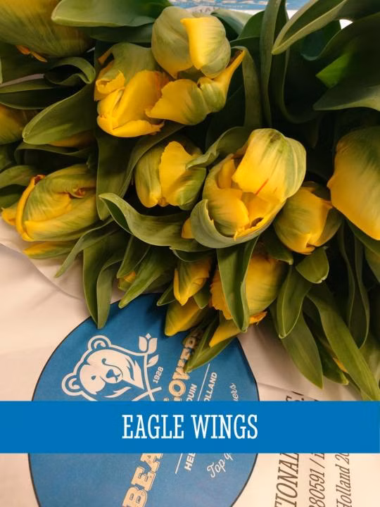 e89f9f3ee9a34d7fffc8a0c5edc52e2c