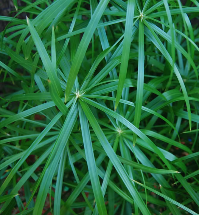 e8a57253d891772207c1f18d082b5d4b