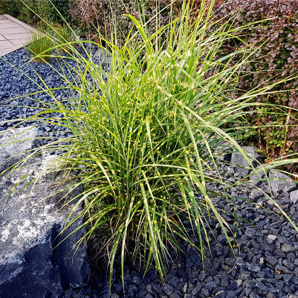 e8bc96507470df641df0e676b862c8a8