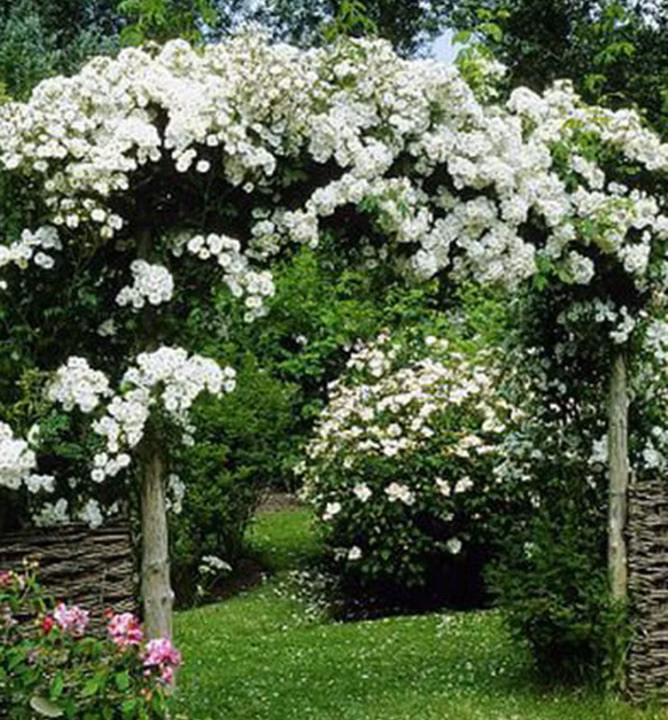 e8c28f96a7779374a6b228718c73f5d3