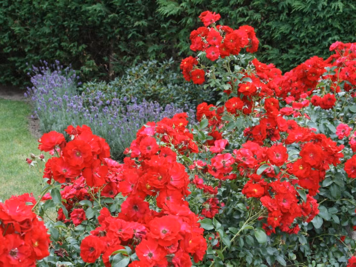 e8c7d92243440e01e9ee3d95cfa30658