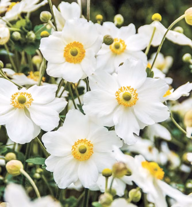 e8e17cca68b17934fa8c3bb732f8eea5