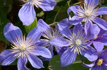 e8e7e42a9dbc8bb4d9598517765f3a54