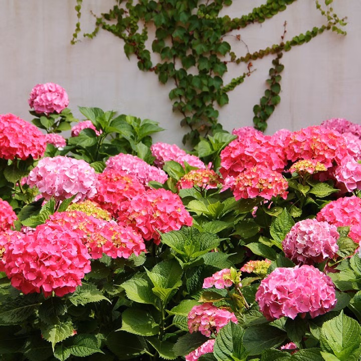 e90722a89fde61528a1492a5bb65faae