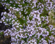 e90f4aa139377b0720386b15b61fb49c