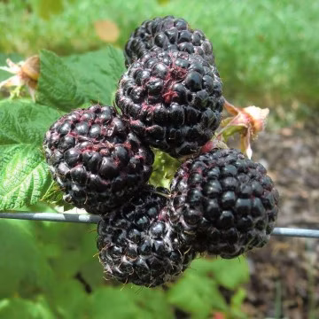 e93f69e5e11f881d8a3e47d5779e7ad4