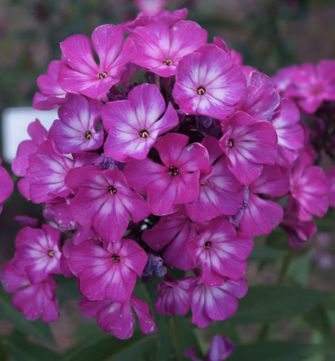 e941a7cde152b6bd2e0db638d8794054