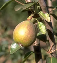 e99d942c642c68016181da0a56599ebd