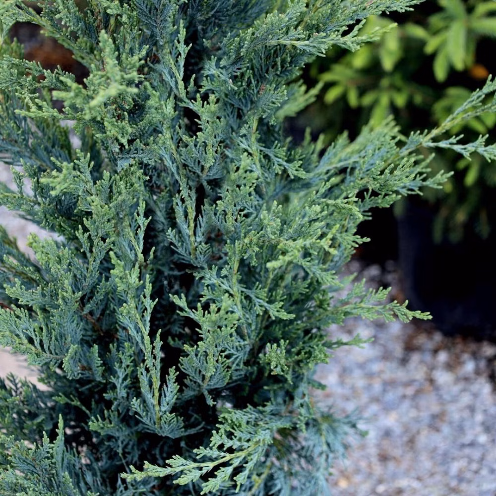 e9a3d9e72538d5d6fe1aad8fd2ade8b3