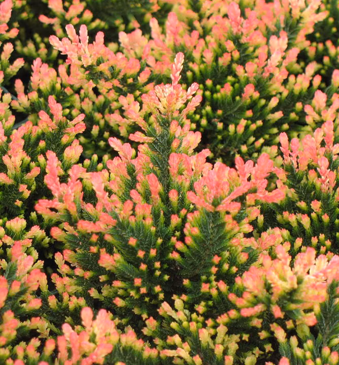 e9b8397213f9ab274ce96c66a38070a7