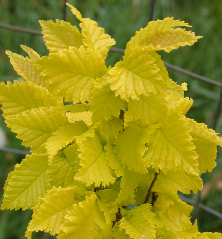 e9e11f33c8ccbe3e65e0eeae1307af0a